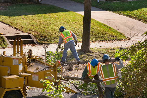 Best Lawn Watering Services  in Shavano Park, TX