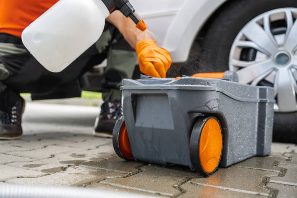 Best Tree Maintenance Programs  in Shavano Park, TX